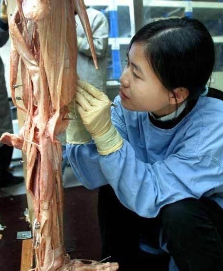 尸体博物馆 真人尸体加工现场 胆小勿入！
