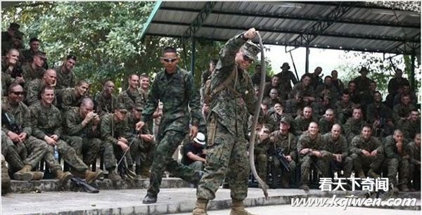 美军练胆生吃蝎子蜥蜴青蛙 有女兵晕倒(组图)